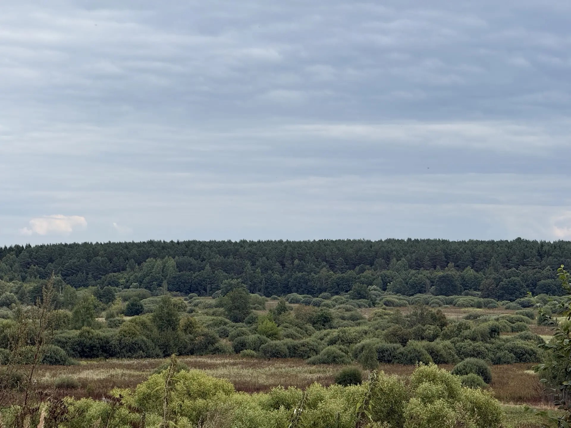 Окрестности храма